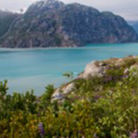 Glacier Bay National Park & Preserve